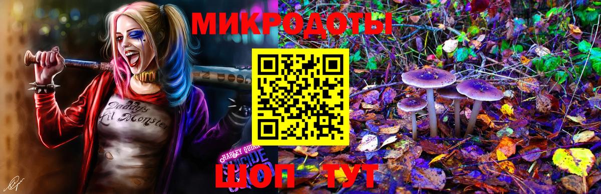 Псилоцибиновые грибы мухоморы Алапаевск